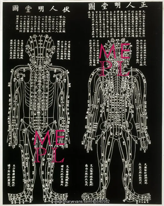  : Chinese Acupuncture chart