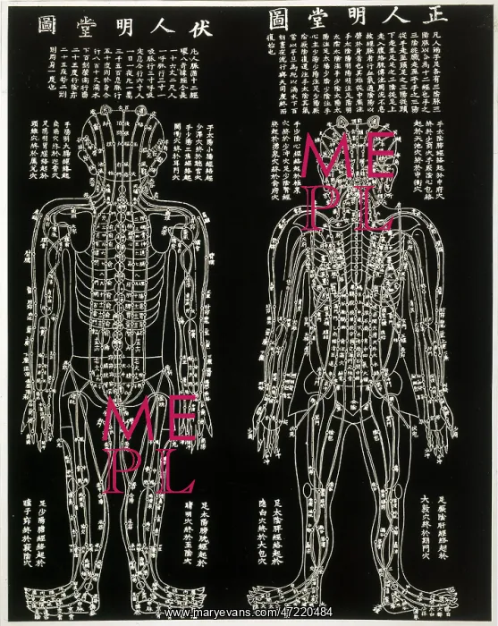  : Chinese Acupuncture chart