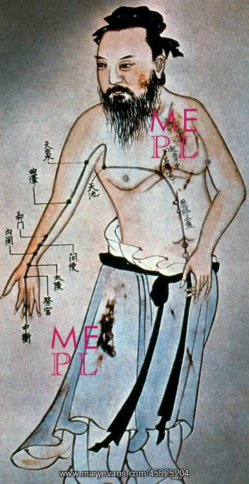 : Chinese Acupuncture Points : Chinese Acupuncture Points