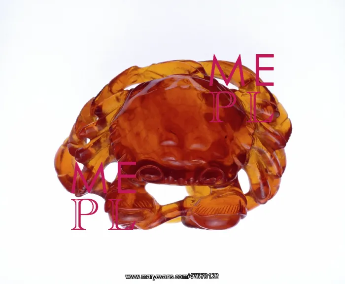 : Chinese amber carving : Chinese amber carving