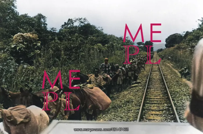 : Chinese army in Burma : Chinese army in Burma