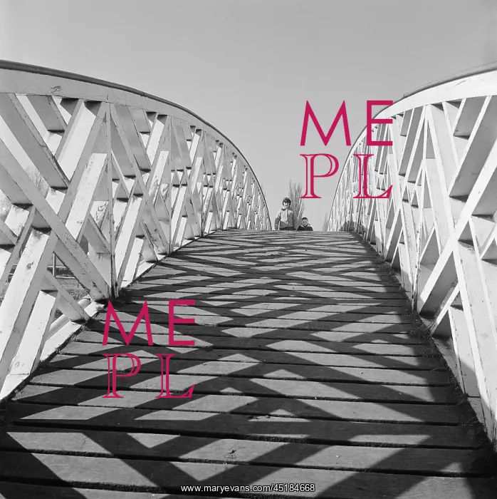 : Chinese Bridge : Chinese Bridge