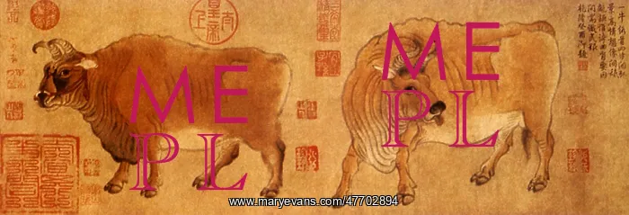  : Two Chinese Buffalo