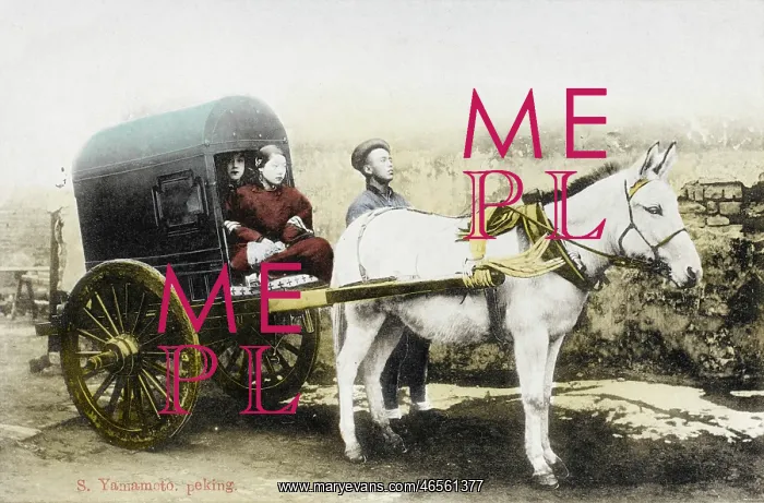 : Chinese carriage : Chinese carriage