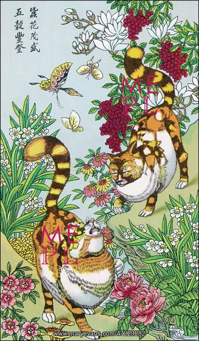  : CHINESE CATS / SILKWORMS