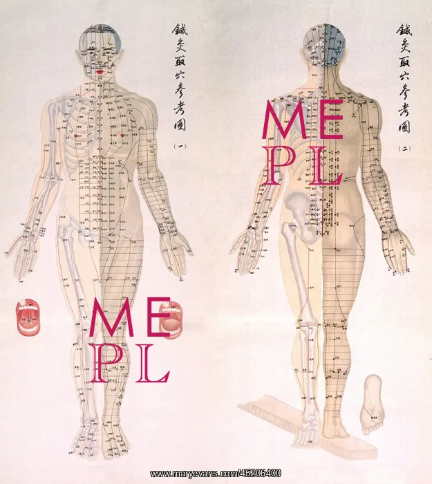 : Chinese chart of acupuncture points on a ? : Chinese chart of acupuncture points on a ?