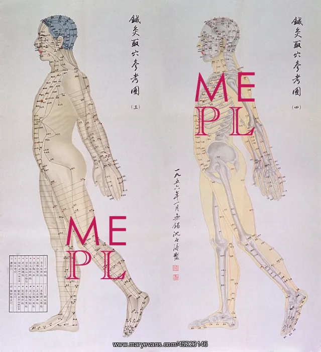 : Chinese chart of acupuncture points on two ? : Chinese chart of acupuncture points on two ?