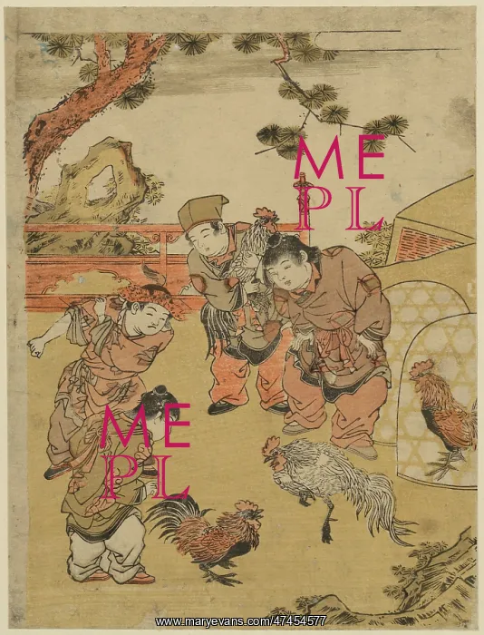 : Chinese children fighting cocks : Chinese children fighting cocks