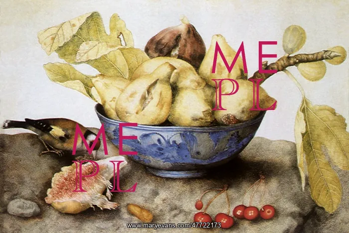 : Chinese Cup with Figs, Cherries, and Goldfinch : Chinese Cup with Figs, Cherries, and Goldfinch