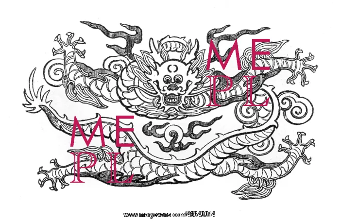  : CHINESE DRAGON