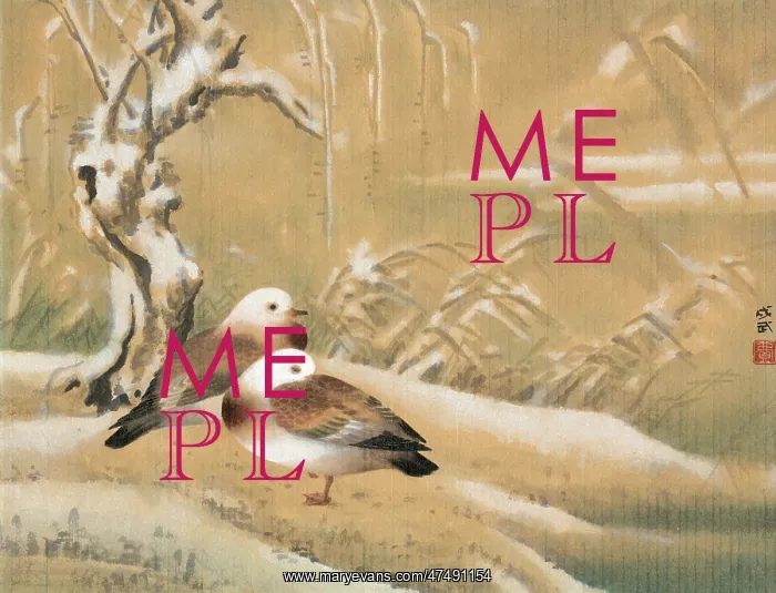  : Two Chinese Ducks in the Snow