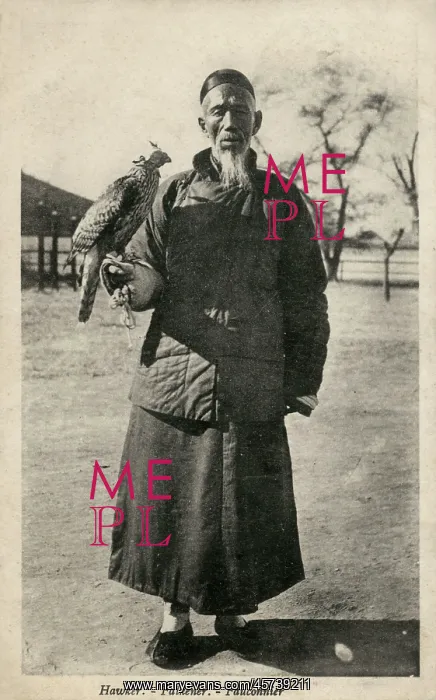  : Chinese falconer with a Goshawk