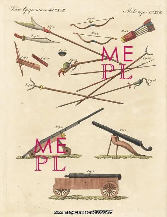 : Chinese fire-arms and weapons, 1800s : Chinese fire-arms and weapons, 1800s
