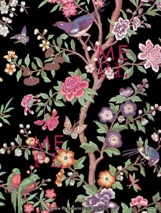: Chinese magpie wallpaper design : Chinese magpie wallpaper design
