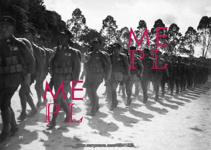  : Chinese Nationalist army