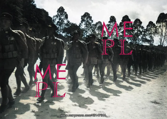  : Chinese Nationalist army