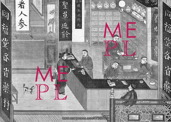 : CHINESE PHARMACY 1864 : CHINESE PHARMACY 1864