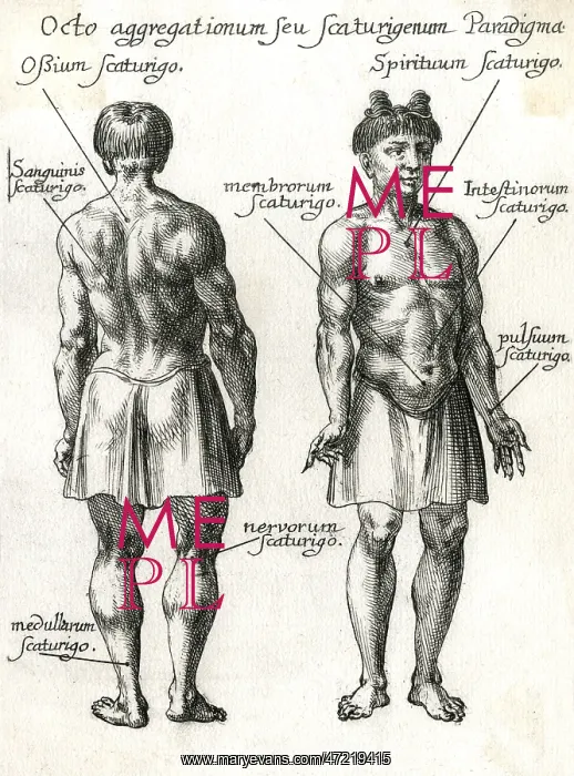 : CHINESE PULSE THERAPY 1 : CHINESE PULSE THERAPY 1