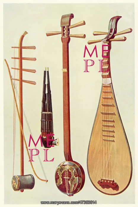 : Chinese String Instrum : Chinese String Instrum