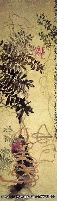  : Chinese Wisterias