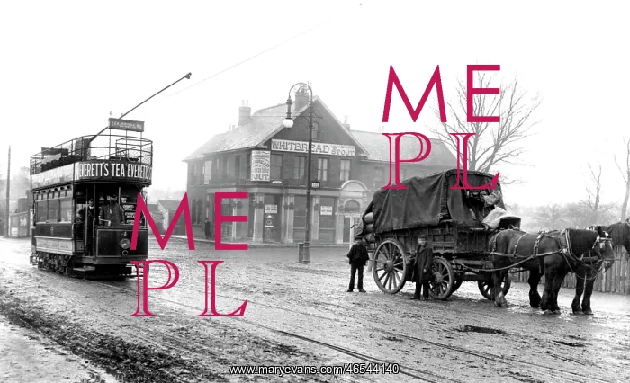  : Chingford, 1906