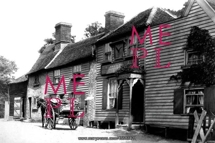  : Chingford, The Owl 1903