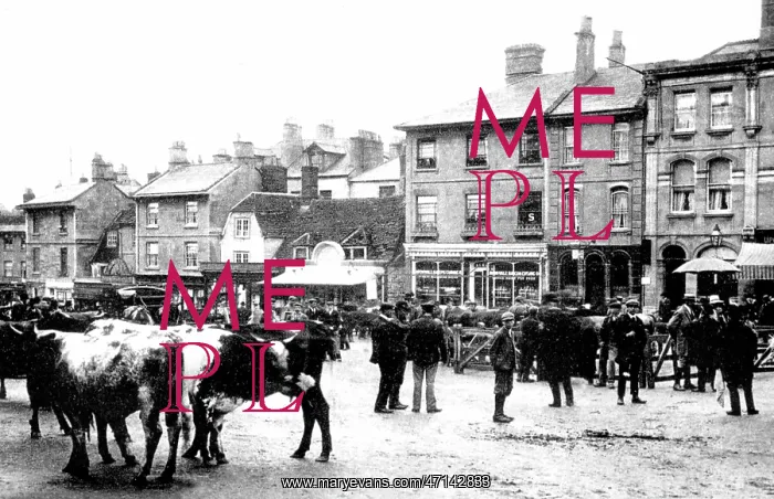  : Chippenham Market early 1900s