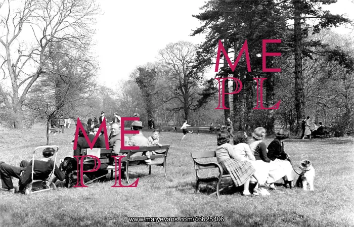  : Chippenham, the Park c1955