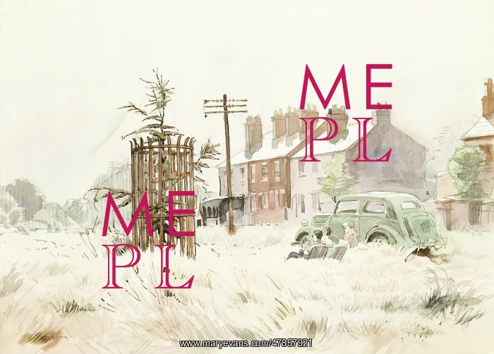 : Chipperfield Common : Chipperfield Common