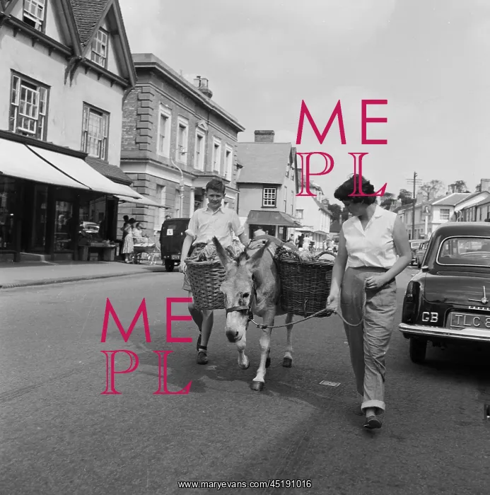 : Chipping Ongar, Essex : Chipping Ongar, Essex
