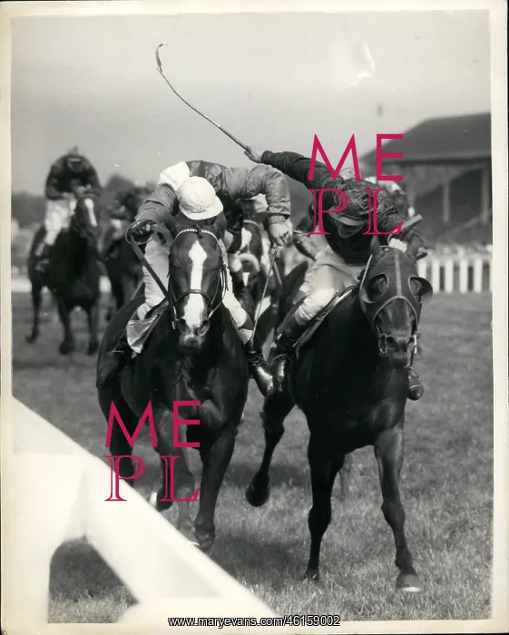 : Chivalry winning Royal Hunt Cup at Ascot : Chivalry winning Royal Hunt Cup at Ascot