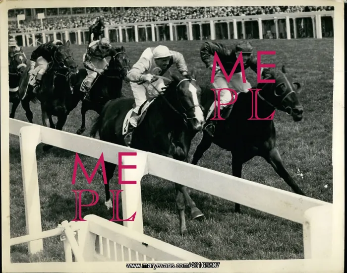 : Chivalry winning Royal Hunt Cup at Ascot : Chivalry winning Royal Hunt Cup at Ascot
