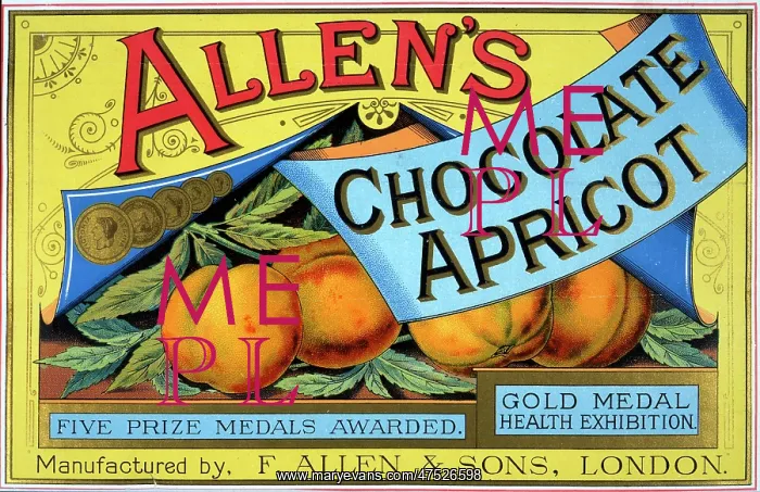  : Chocolate Apricot poster