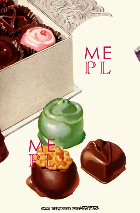 : Chocolate Assortment : Chocolate Assortment