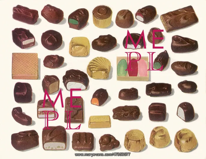 : Chocolate Assortment : Chocolate Assortment