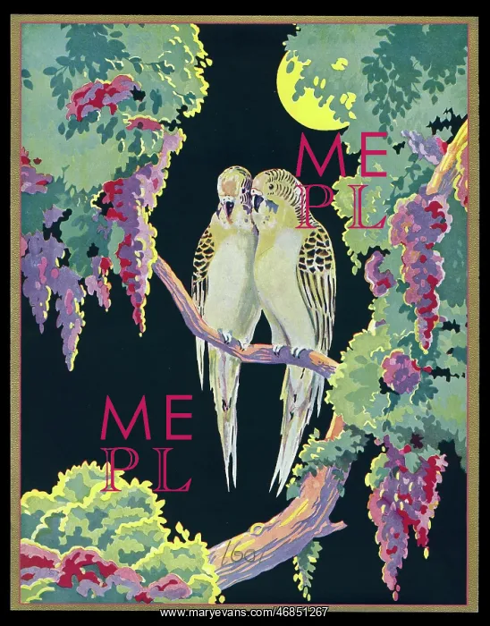 : Chocolate box design, two budgerigars : Chocolate box design, two budgerigars