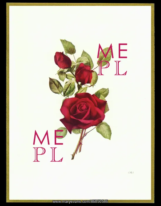: Chocolate box design, three red roses : Chocolate box design, three red roses