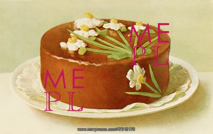  : CHOCOLATE CAKE