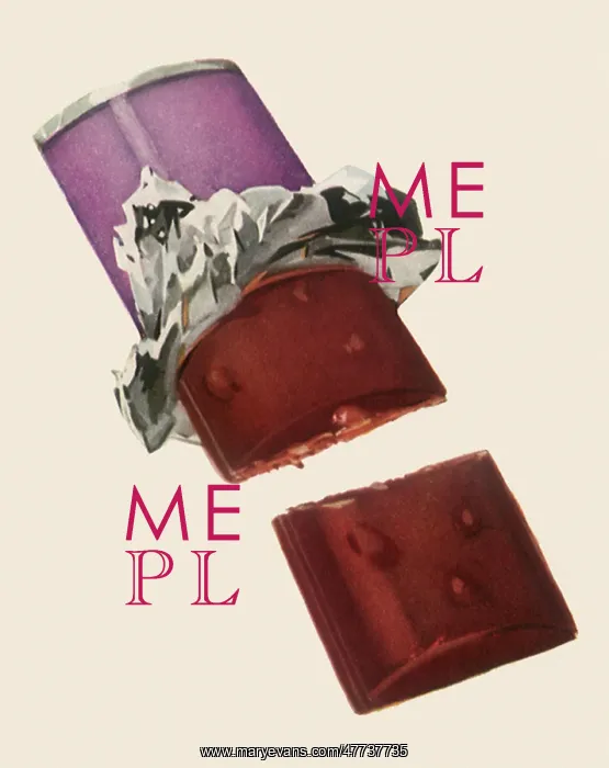 : Chocolate Candy Bar : Chocolate Candy Bar