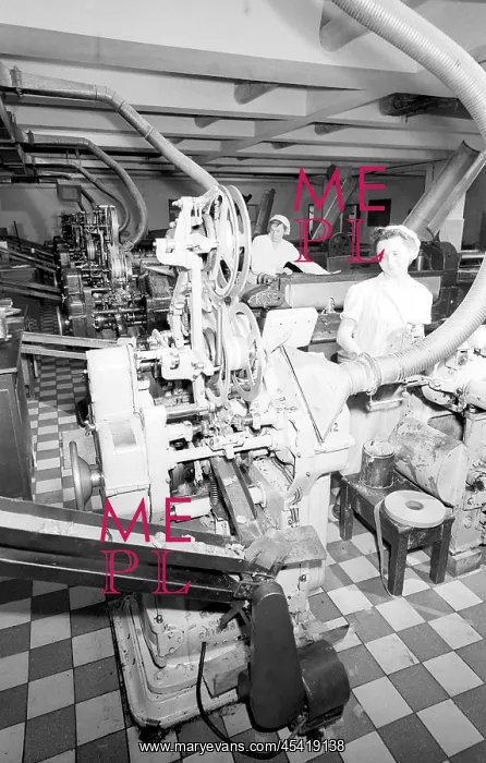 : Chocolate - female - workers : Chocolate - female - workers