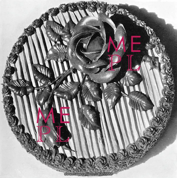 : Chocolate Malted Milk Cake : Chocolate Malted Milk Cake