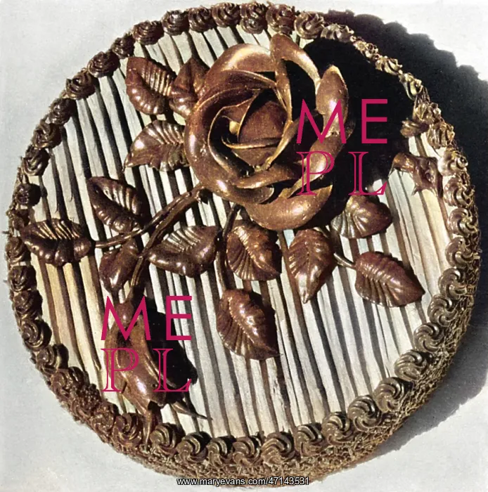 : Chocolate Malted Milk Cake : Chocolate Malted Milk Cake