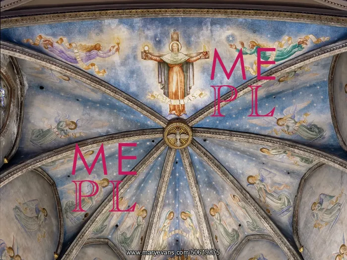 : Choir ceiling, Catedral del Espiritu Santo, Terrassa : Choir ceiling, Catedral del Espiritu Santo, Terrassa