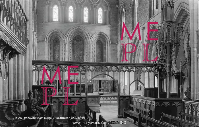 : The Choir of St. David's Cathedral : The Choir of St. David's Cathedral