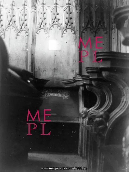 : Choir stall, St David's Cathedral, St David's, South Wales : Choir stall, St David's Cathedral, St David's, South Wales
