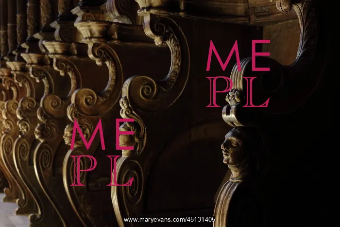 : Choir stalls, Cathedral of St Mary, Tortosa, Catalonia : Choir stalls, Cathedral of St Mary, Tortosa, Catalonia