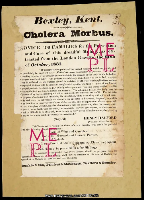 : Cholera Morbus : Cholera Morbus