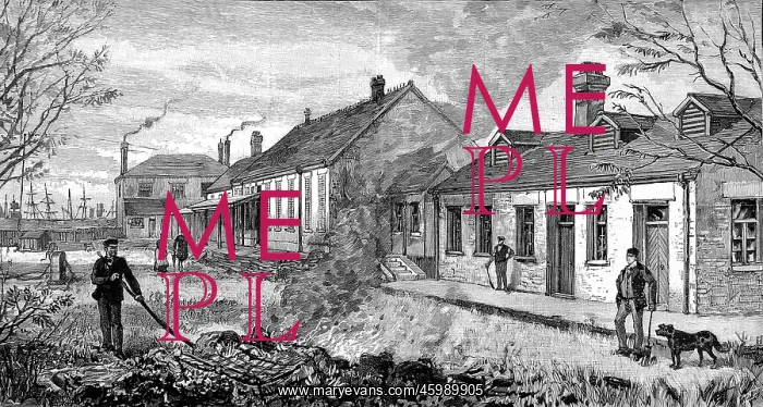 : Cholera precautions in England : Cholera precautions in England