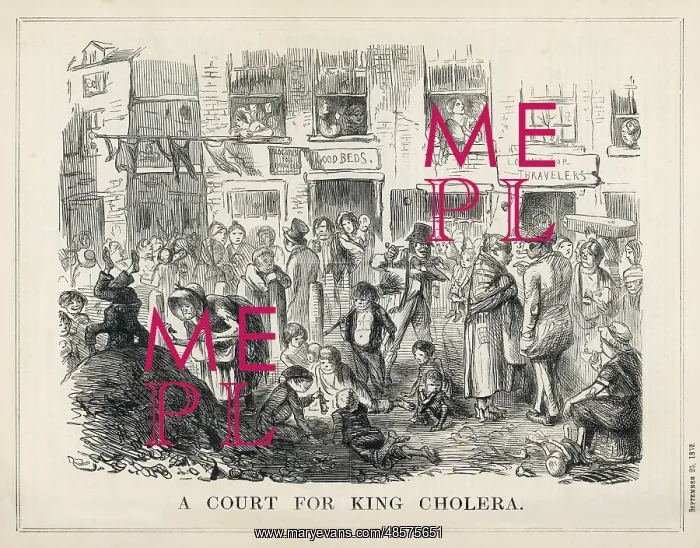  : Cholera - Slums - 1852 - Punch