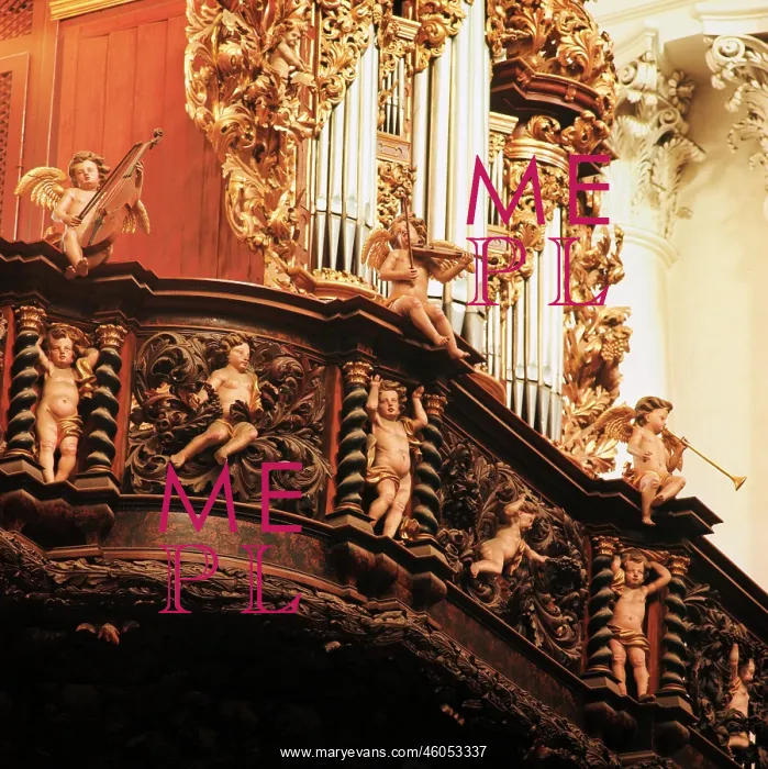 : Choral organ : Choral organ